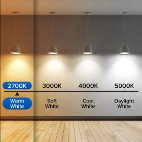SANSI 60W Equivalent LED Light Bulbs, 22-Year Lifetime,  900 Lumens With Ceramic Technology,  Non-Dimmable, E26 Base, A15 Size, Energy-Efficient (Option: 2pack-2700K)