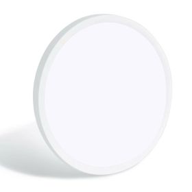 11.8 Inch White Ultra-thin Ceiling Light 6500K LED Flush Mount Ceiling Lamp For Bedroom, Bathroom, Hallway (Option: D11.2 inH2.4 in)